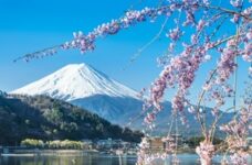 japan-airlines:-tokyo-return-melbourne-$930-(direct),-sydney-$933-(direct),-brisbane-$940-(via-sin)-@-iwtf