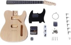 artist-tcdiy-do-it-yourself-electric-guitar-kit-w/-humbuckers-$149-delivered-@-artist-guitars