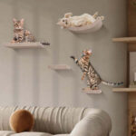 wall-meow-nted-cat-climbers,-set-of-4-shelves-$177-(save-$50)-+-free-shipping-@-pryde-pets