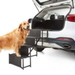 pet-folding-car-stairs-$15/pet-elevated-bed-with-canopy-$19+-delivery-($0-c&c/-in-store/-onepass/-$65-spend)-@-kmart