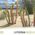 free-lutheran-2025-calendar