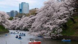 china-southern-to-tokyo,-japan-return-ex-mel-$669,-syd-$699,-bne-$690-(jan-jun-incl-sakura-season)-via-guangzhou-@-btf