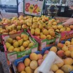 [qld]-kp-mangoes-8-for-$2-or-$0.29-each-@-blunder-road-country-markets,-oxley