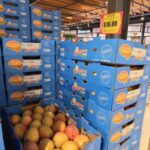 [vic]-calypso-premium-mangos-$16/tray-@-sacca’s-fine-foods,-blackburn-north