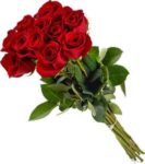 [nsw,-qld,-act]-10-roses-stem-bunch-medium-$14.13-delivered-@-harris-farm-markets-via-uber-eats