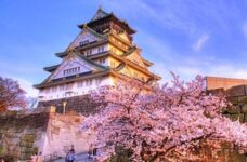 japan-airlines-ret:-osaka-mel-$816,-syd-$881-fukuoka-syd-$872,-bne-$895,-mel-$956.-nagoya-mel-$817,-bne-$914,-syd-$1023-@-iwtf