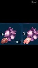Ark Survival Ascended – 5x R-1 + 5x R-2 Seed PC/PS5/XBOX PVE