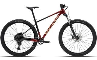 Polygon Xtrada 5 Mountain Bike
