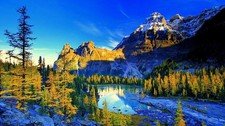Digital Picture image| Digital Art image 4K Nature Wallpaper Usage For PC/LAPTOP